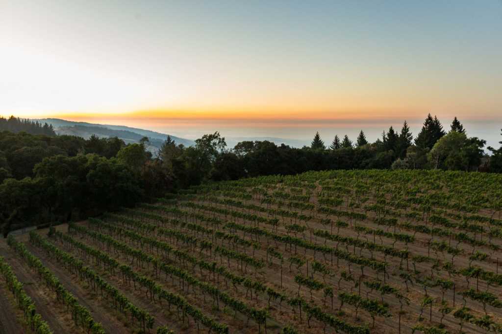 Explore the Santa Cruz Mountains Wine Region World of Pinot Noir