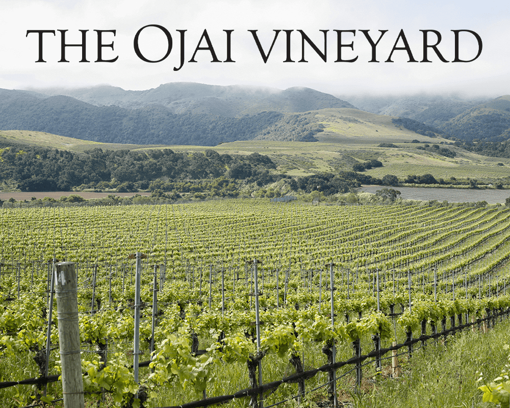 The Ojai Vineyard - World of Pinot Noir